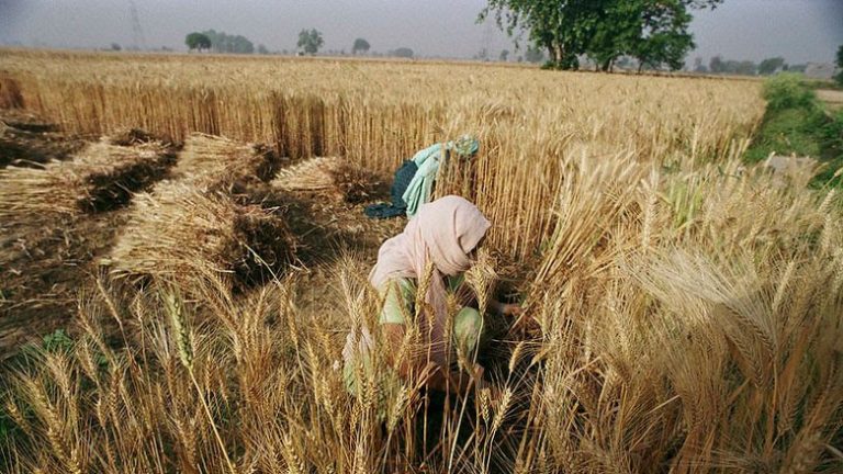 COVID Crisis is Fueling Food Price Rises for World’s Poorest