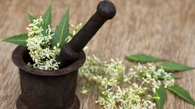 7 Best Medicinal Plants and Their Uses