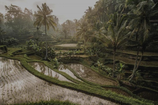 keseimbangan-menguntungkan-semua-pihak