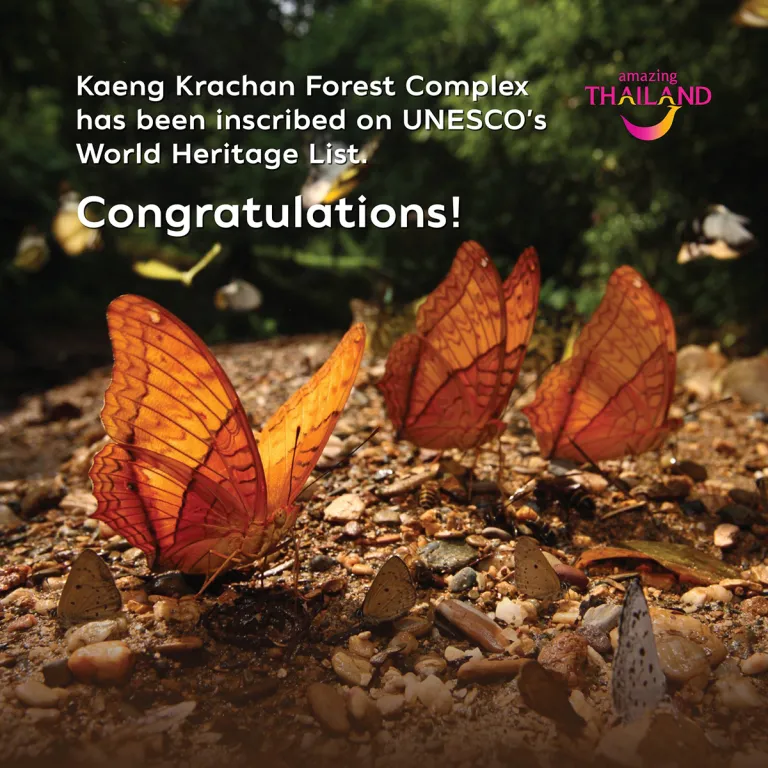 Kaeng Krachan Forest Complex added to World Heritage List