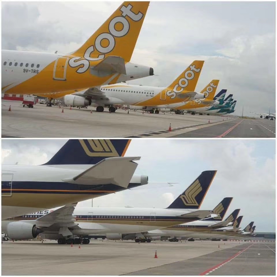 Sccot-SIA-Bintang-5-Skytrax