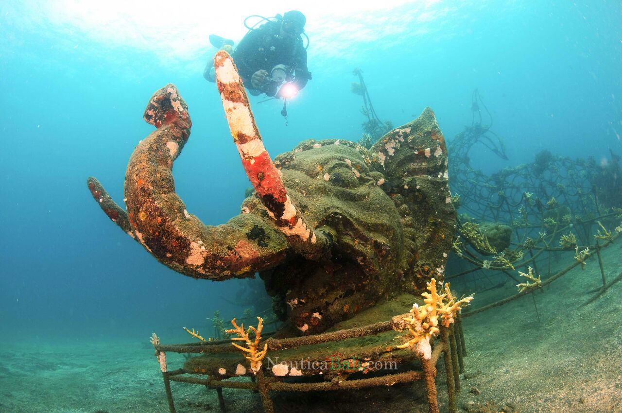 New Steps in Protecting the Ocean