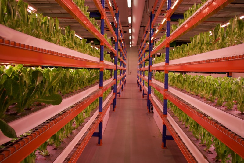 Emirate Airlines Group Food Security and Self-Sufficiency