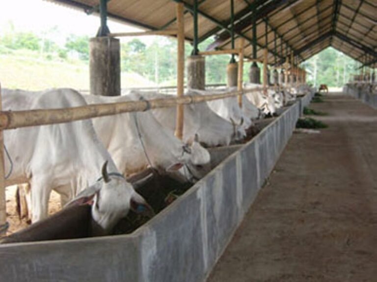 mitra-biosecurity-OZ-Indonesia