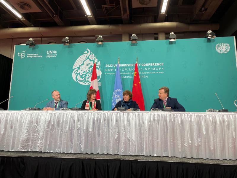 vision to halt and reverse biodiversity loss by 2030.