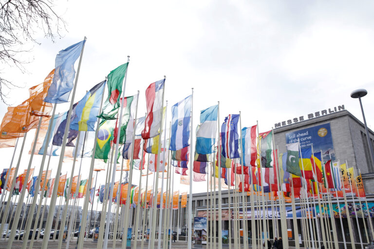 High International Participation