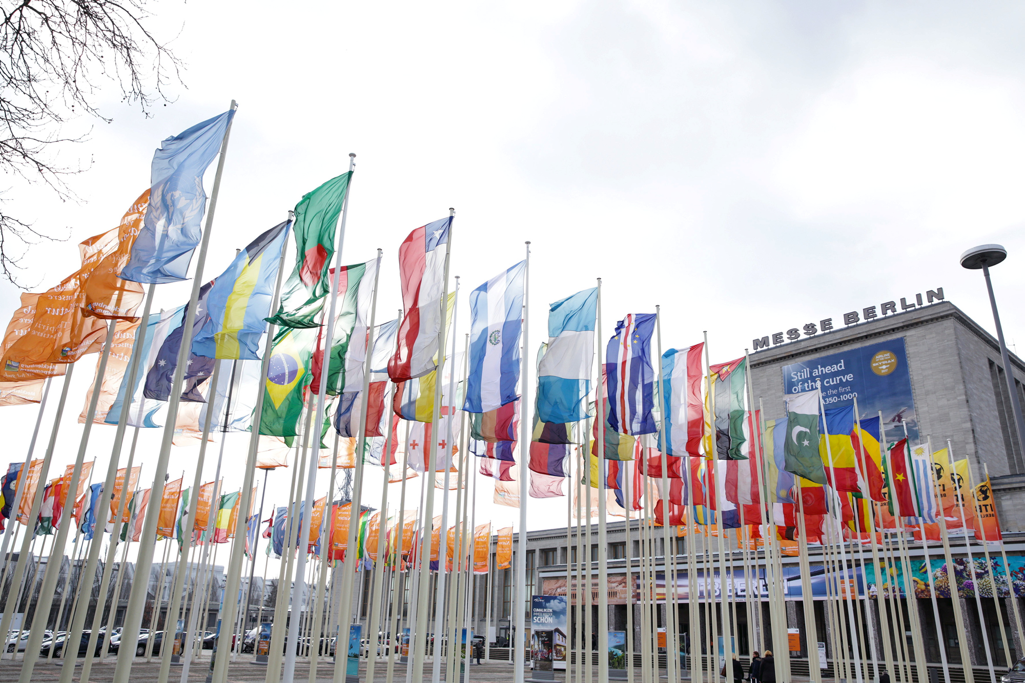 High International Participation