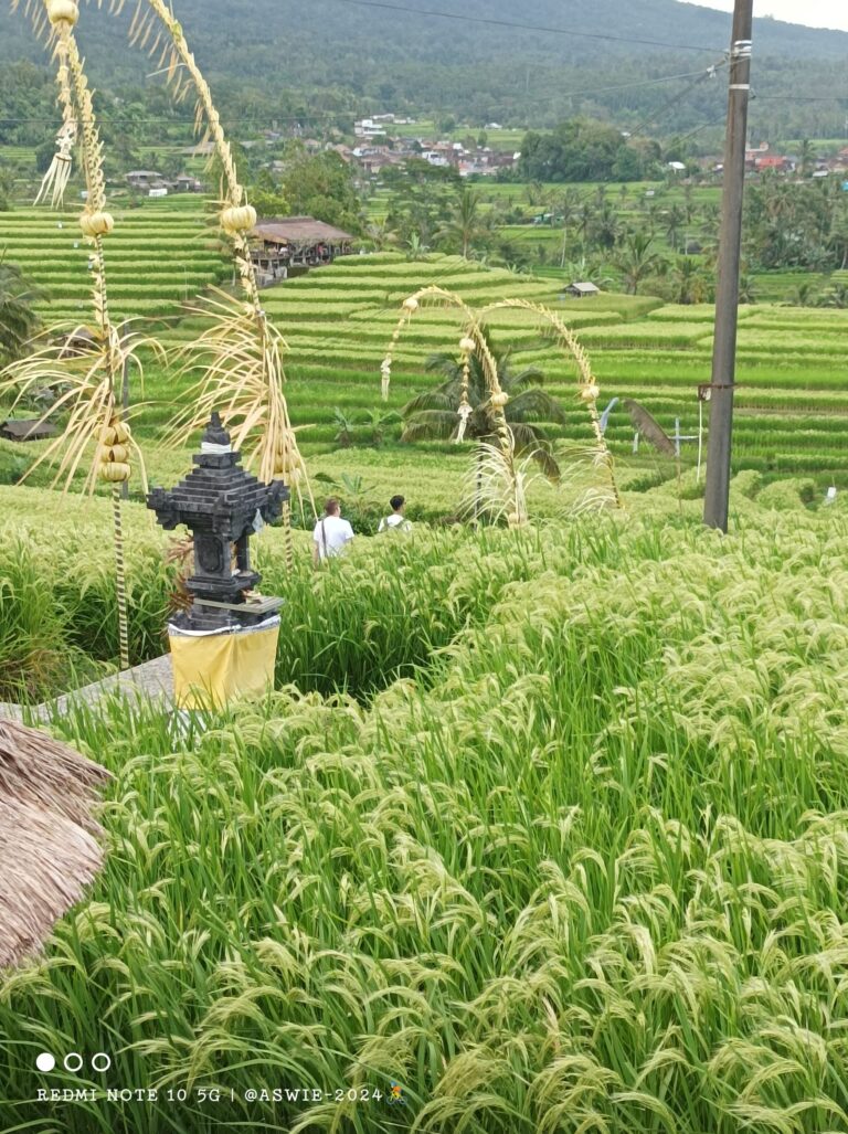 Best Tourism Villages 2024