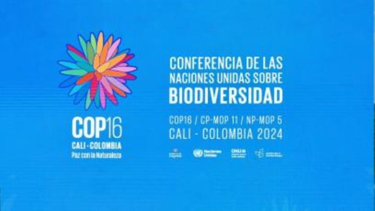 A Key Player in Protecting Nature for Future Generations