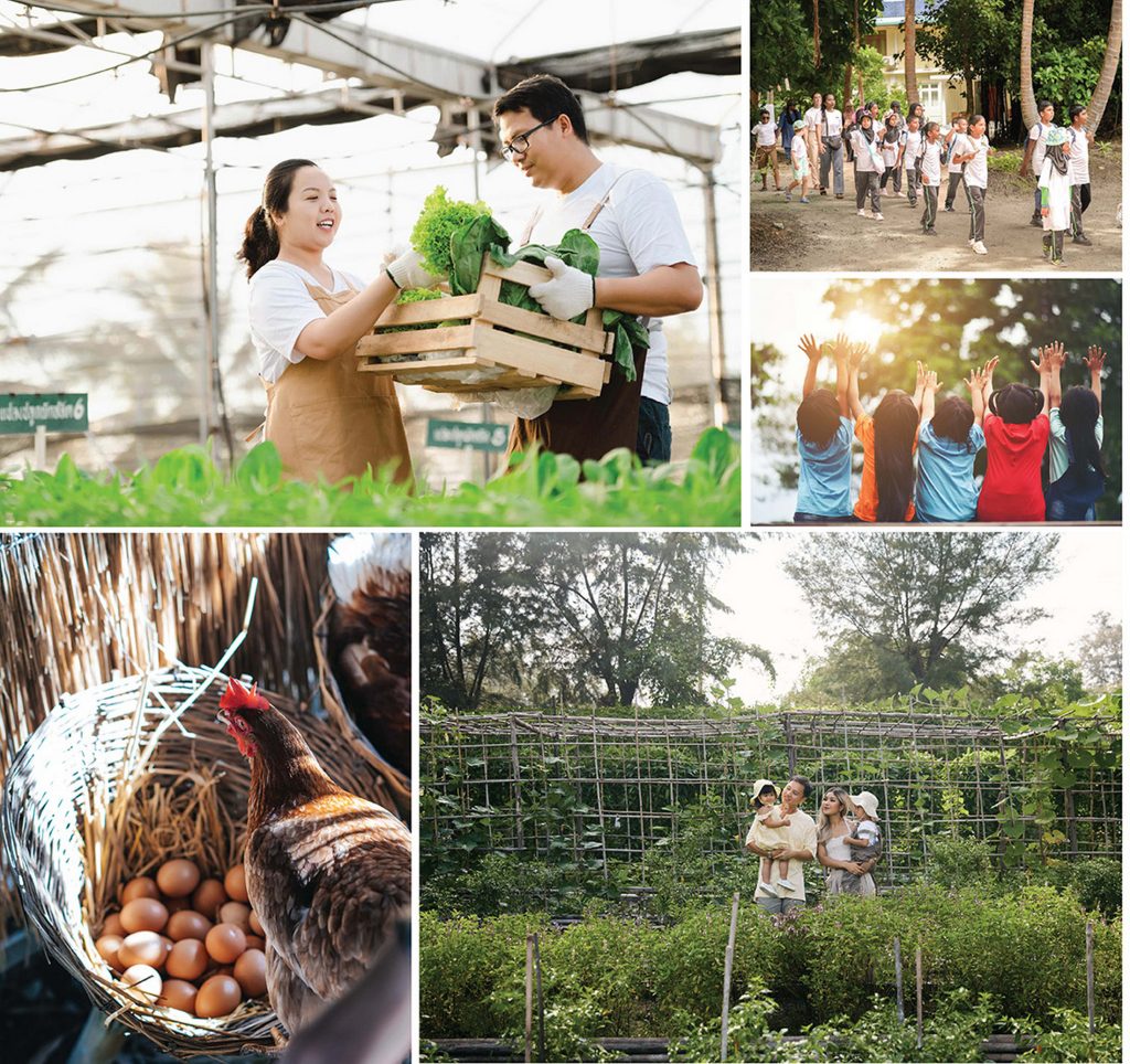 Dusit’s sustainability strategy is Tree of Life